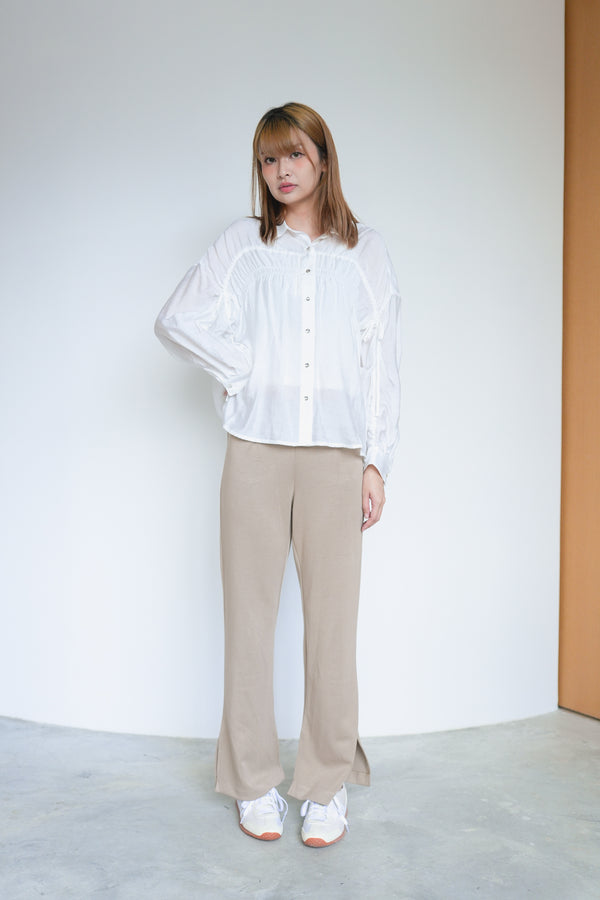 Pleated Sleeves Pleated Sheer Shirt