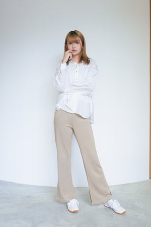 Pleated Sleeves Pleated Sheer Shirt