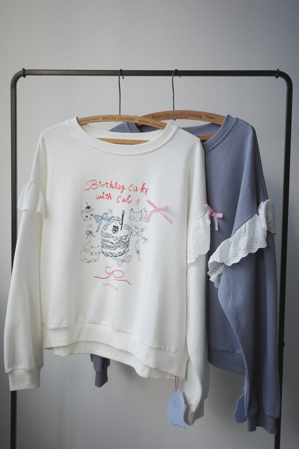 Birthday cake cat hoodie