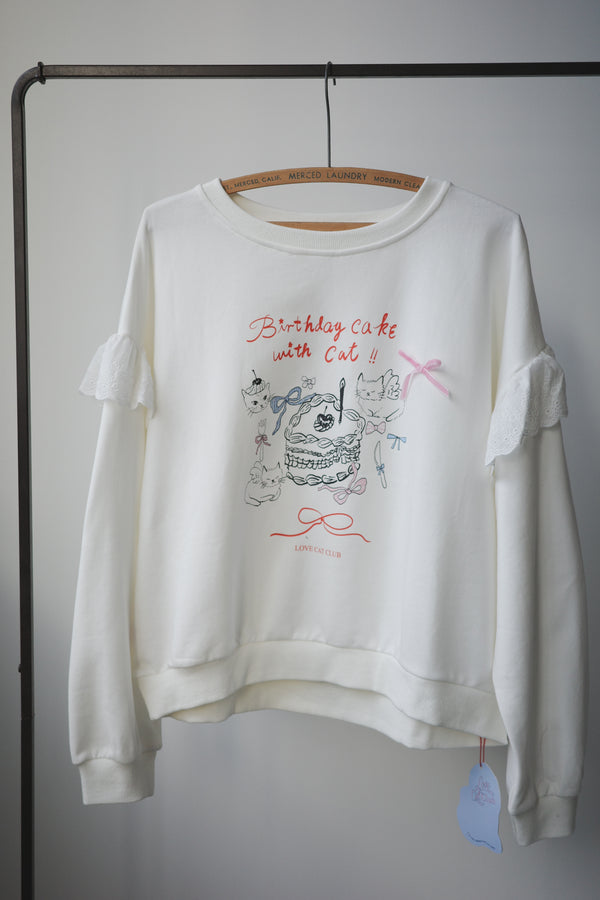 Birthday cake cat hoodie