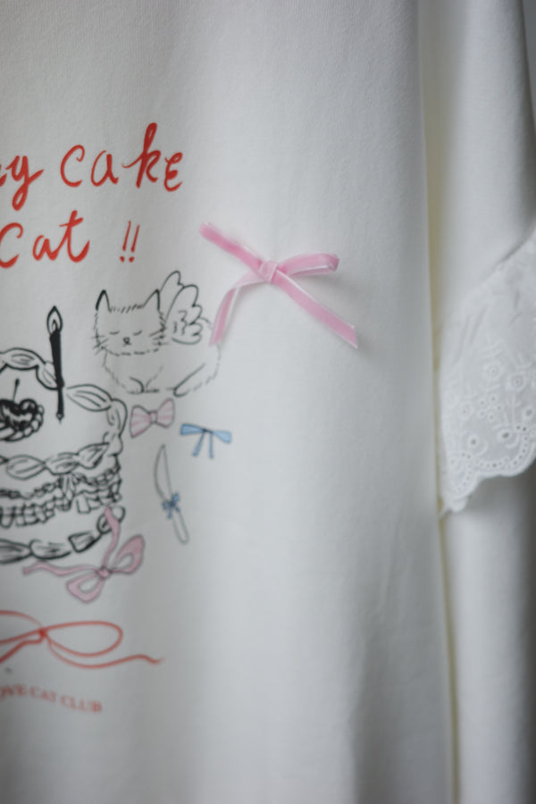 Birthday cake cat hoodie