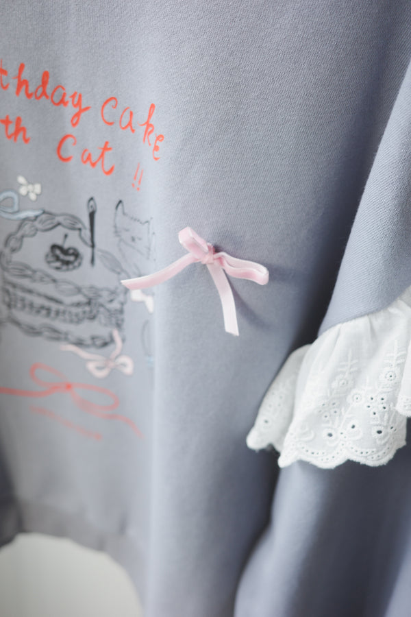 Birthday cake cat hoodie