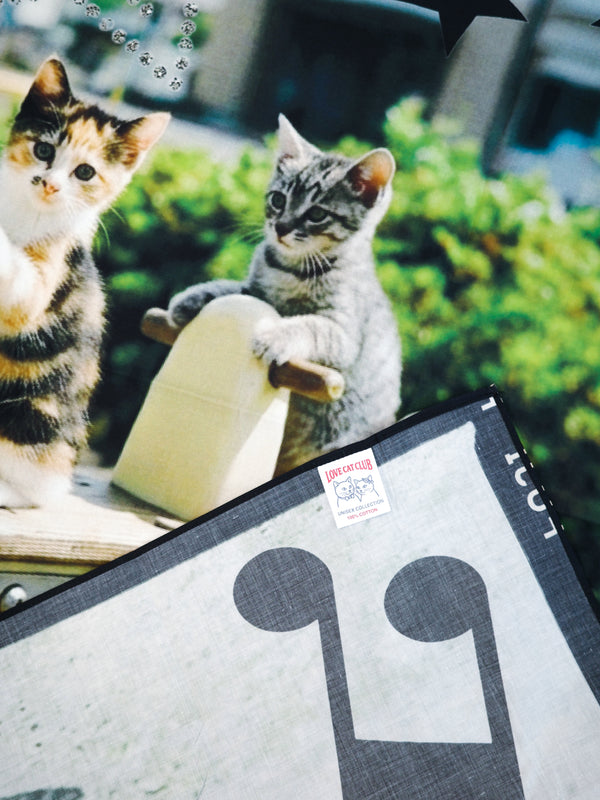 90x90 Scarf (Cats Park)